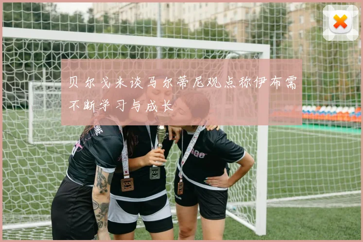 贝尔戈米谈马尔蒂尼观点称伊布需不断学习与成长