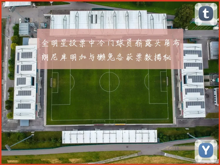 全明星投票中冷门球员崭露头角布朗尼库明加与獭兔各获票数揭秘